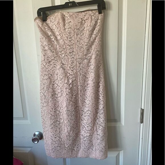 Corded Lace Sheath J. Mendel  color Blush - Picture 5 of 10